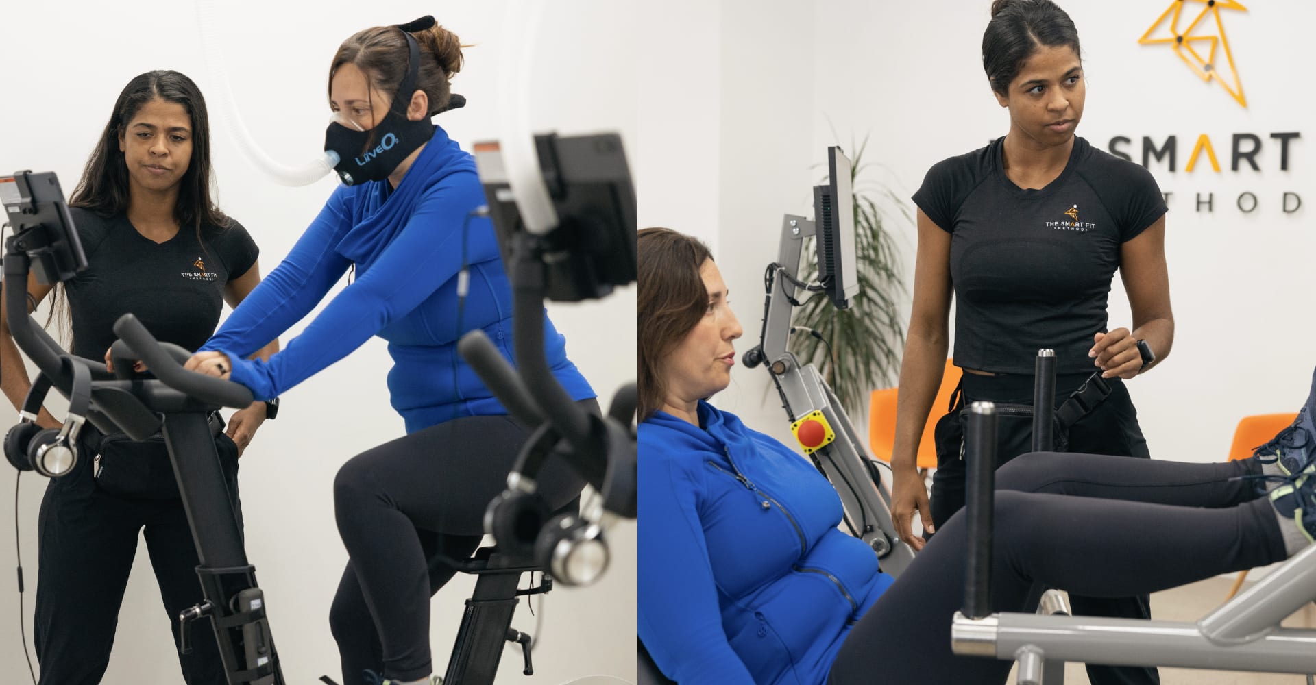 Strength Training for Women Over 40: The Menopause Exercise Guide